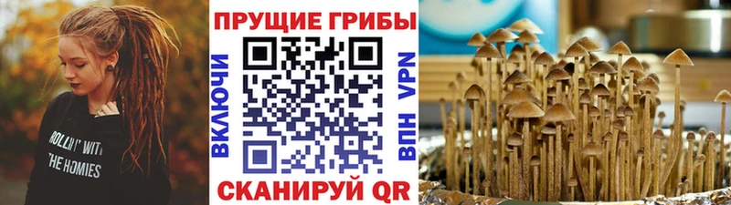 цена   Азов  blacksprut рабочий сайт  Псилоцибиновые грибы Magic Shrooms 